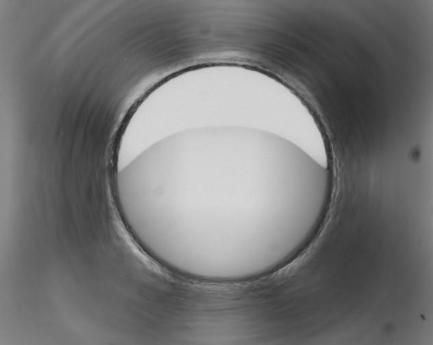 X0000116150989201001041049