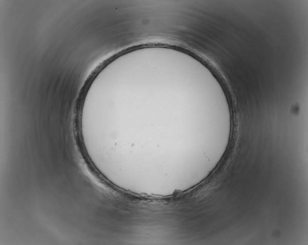 X0000116150991201001041049