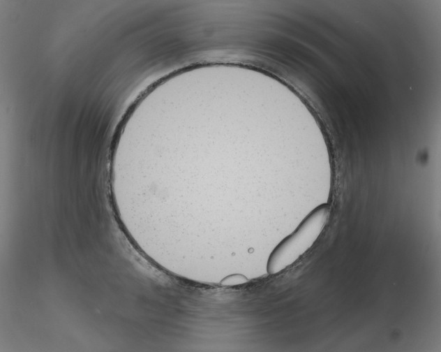 X0000116150992201001041049