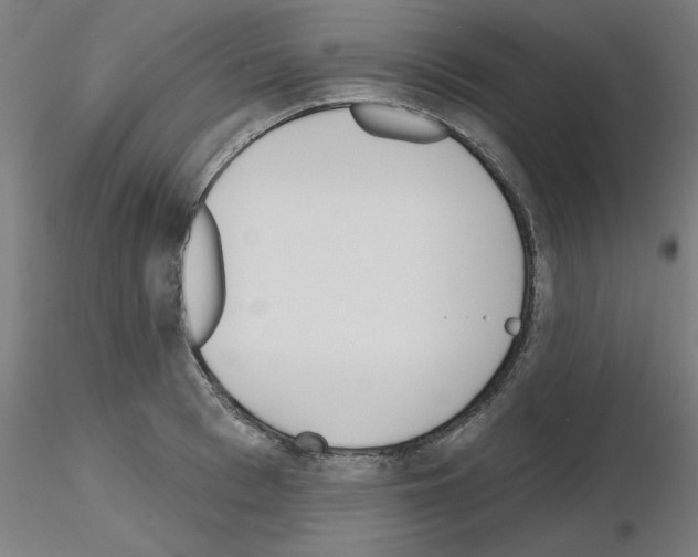 X0000116150993201001041049