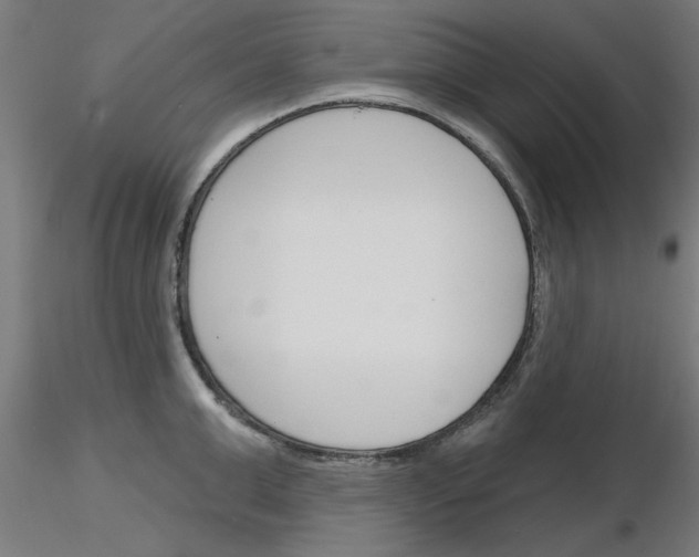 X0000116150999201001041049