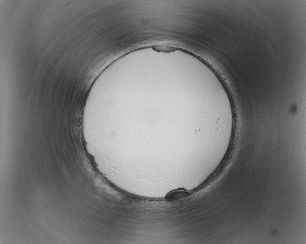 X0000116151001201001041049