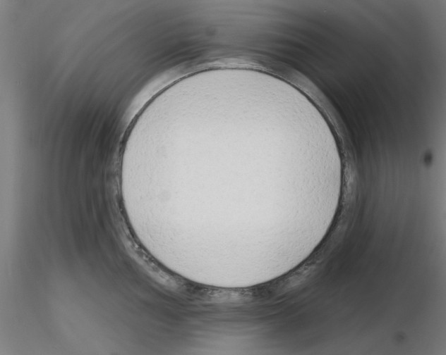 X0000116151002201001041049