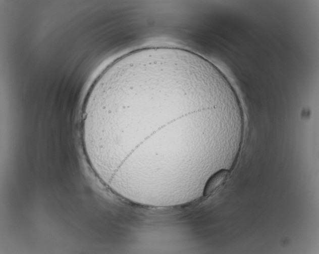 X0000116151008201001041049