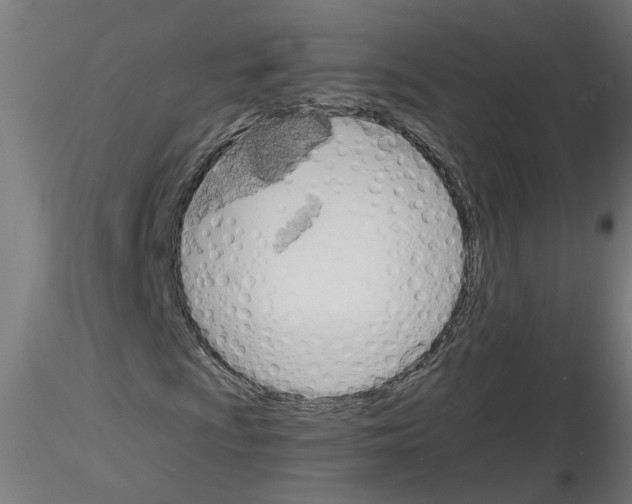 X0000116151009201001041049