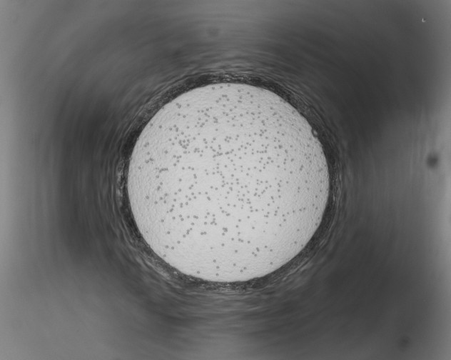 X0000116151010201001041049