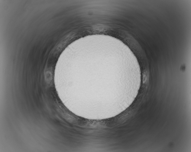 X0000116151011201001041049