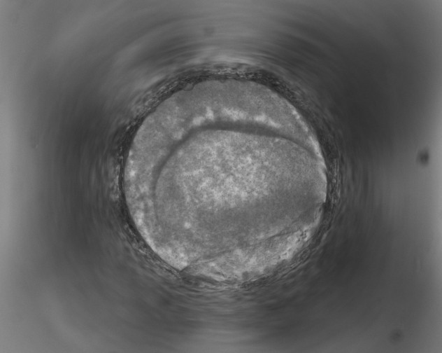 X0000116151013201001041049