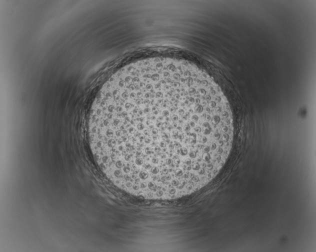 X0000116151014201001041049