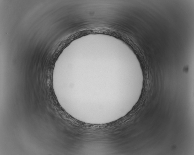 X0000116151016201001041049