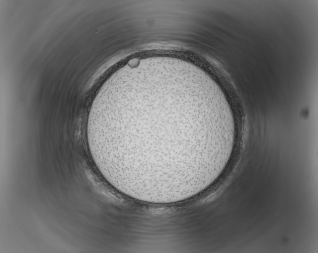 X0000116151017201001041049