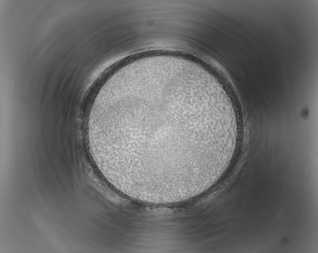 X0000116151019201001041049