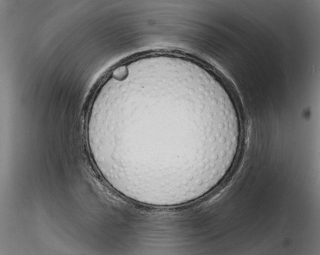 X0000116151021201001041049