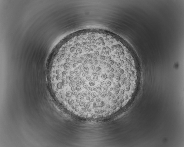 X0000116151022201001041049