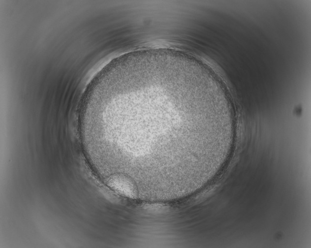 X0000116151023201001041049