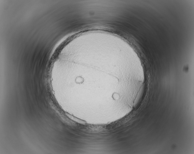 X0000116151024201001041049