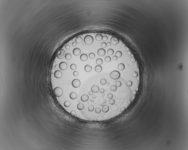 X0000116151025201001041049