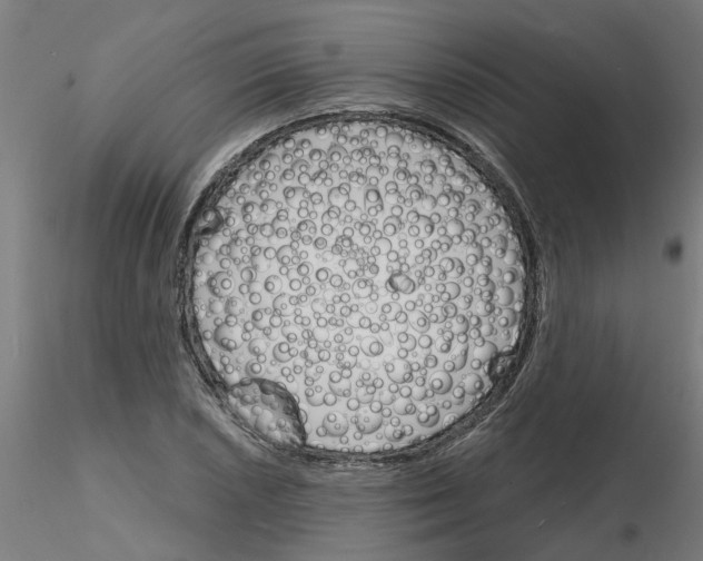 X0000116151026201001041049