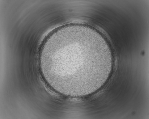 X0000116151027201001041049