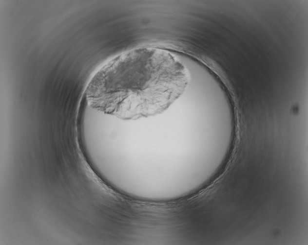 X0000116151028201001041049