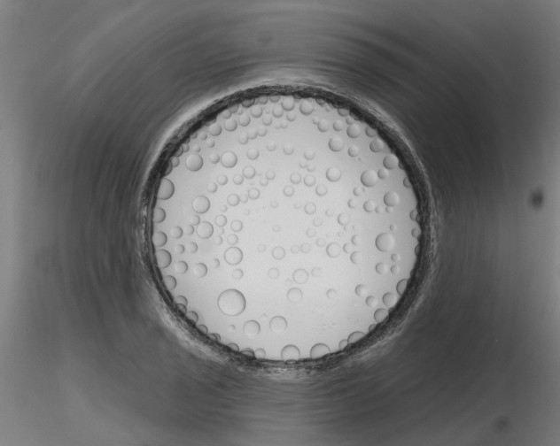 X0000116151029201001041049