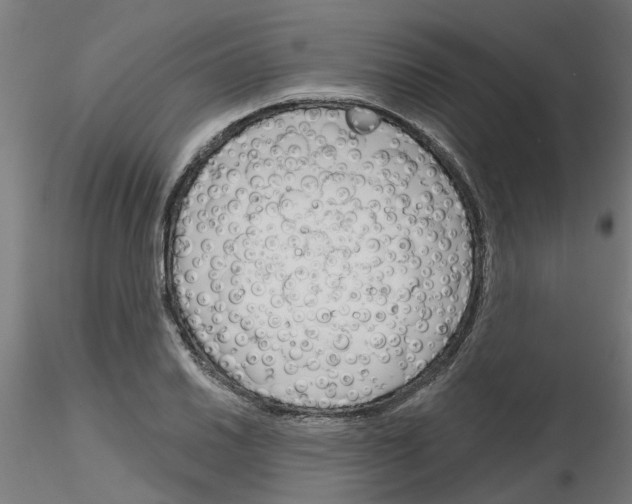 X0000116151030201001041049