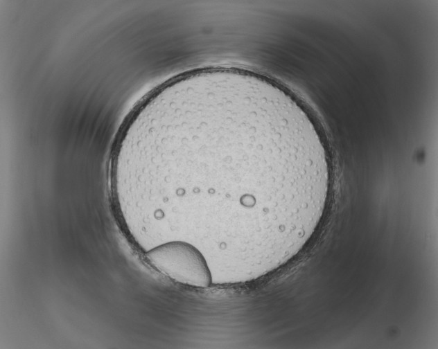 X0000116151032201001041049