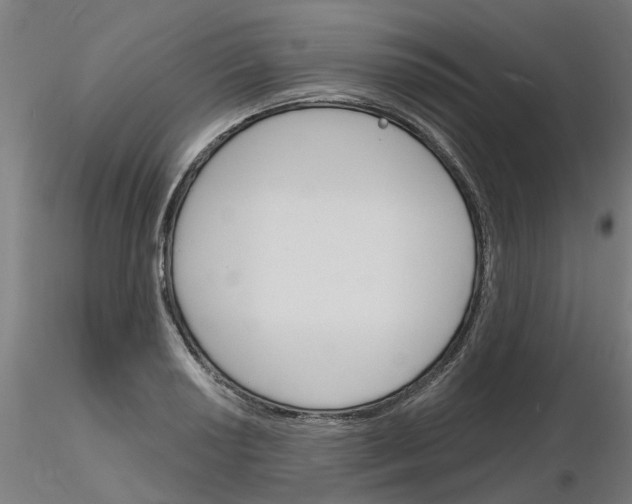 X0000116151034201001041049