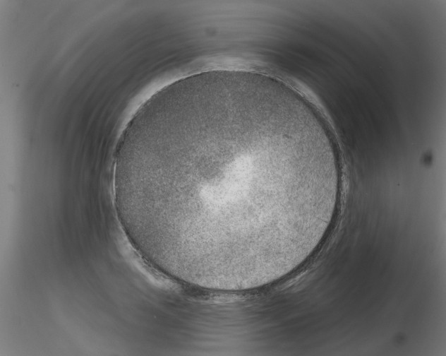 X0000116151035201001041049