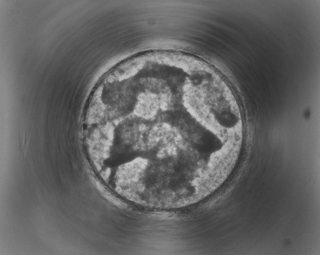 X0000116151037201001041049