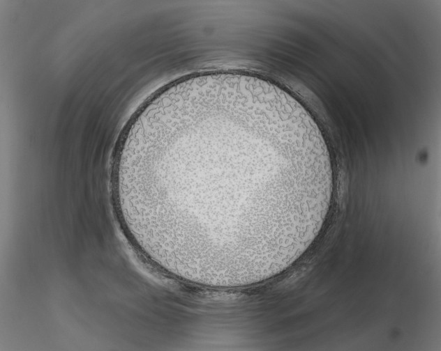 X0000116151039201001041049