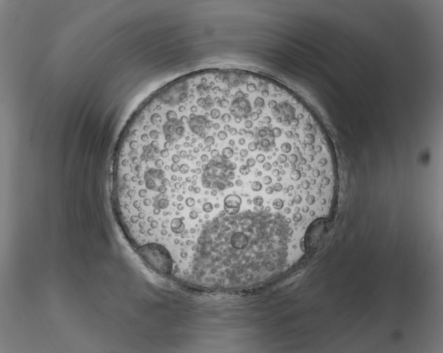 X0000116151040201001041049