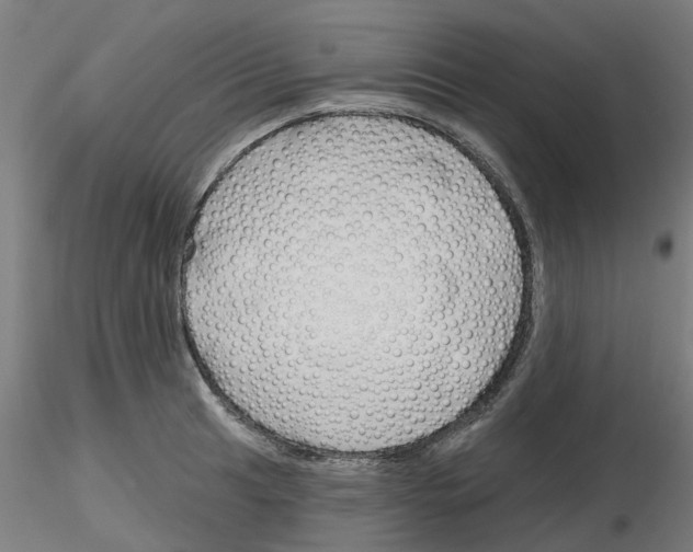 X0000116151041201001041049