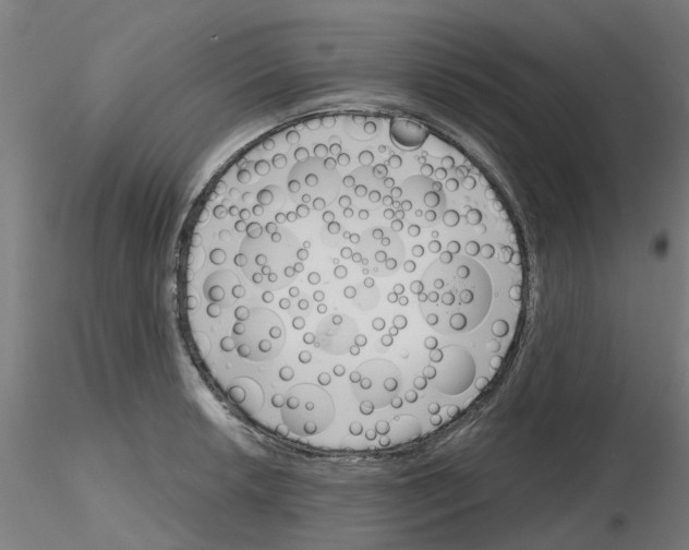 X0000116151042201001041049