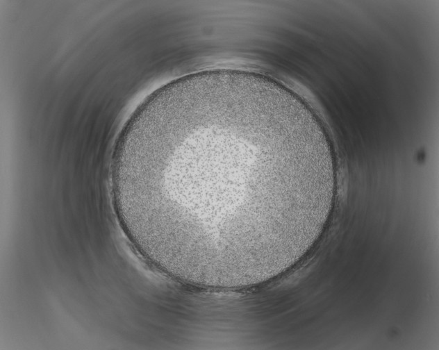 X0000116151043201001041049