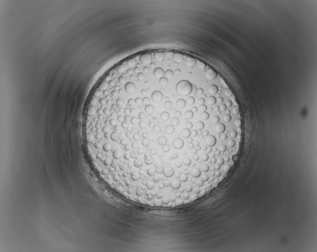 X0000116151044201001041049