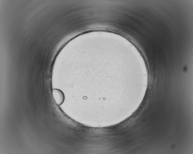 X0000116151045201001041049