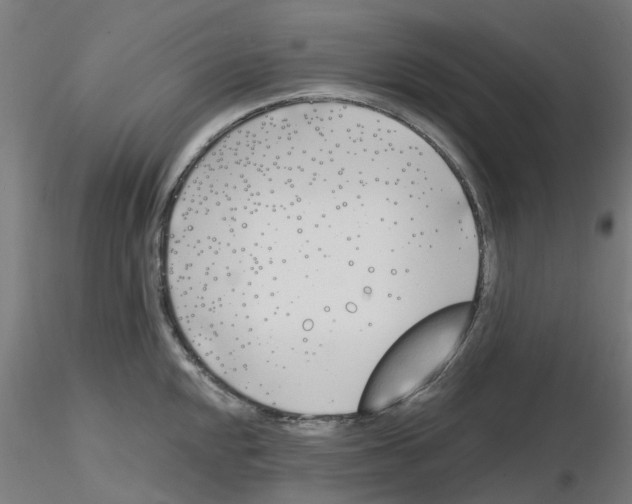 X0000116151048201001041049