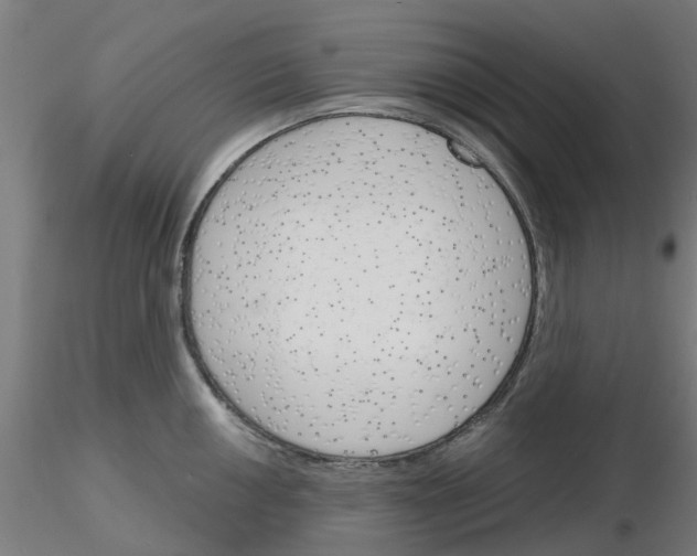 X0000116151050201001041049