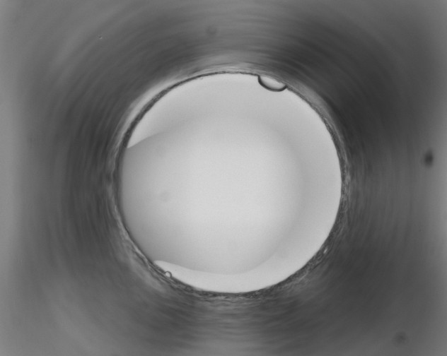 X0000116151051201001041049