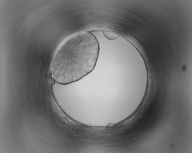 X0000116151052201001041049