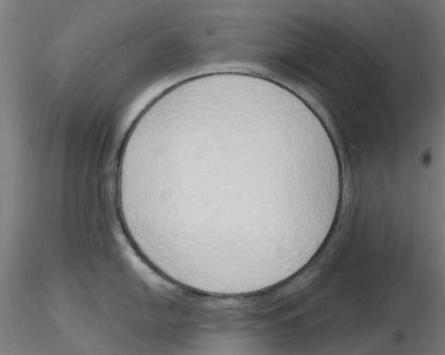 X0000116151054201001041049