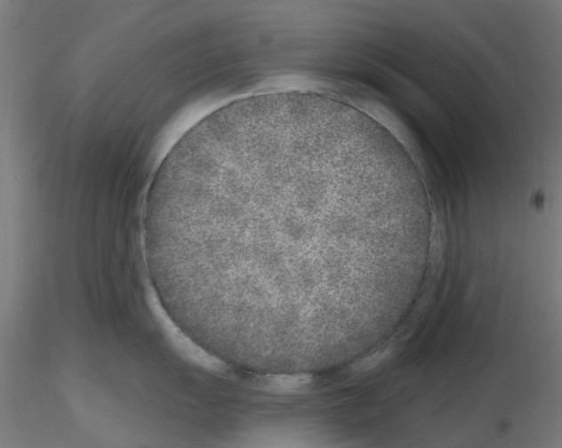 X0000116151055201001041049