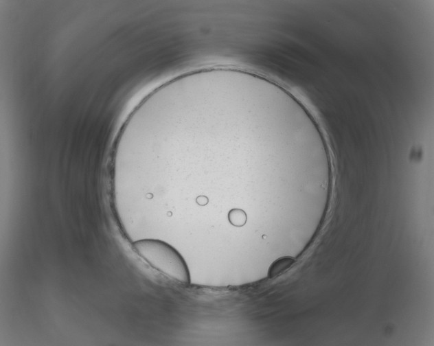 X0000116151056201001041049