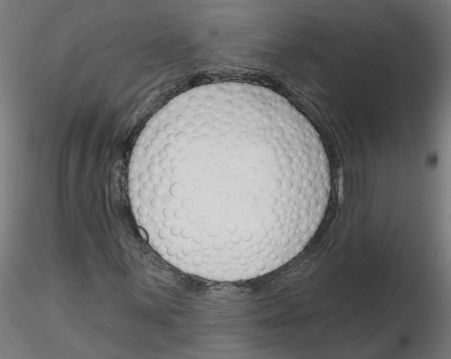 X0000116151059201001041049