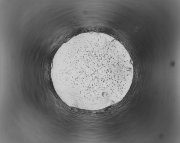 X0000116151060201001041049