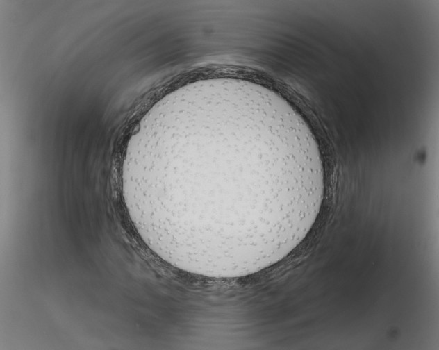 X0000116151062201001041048