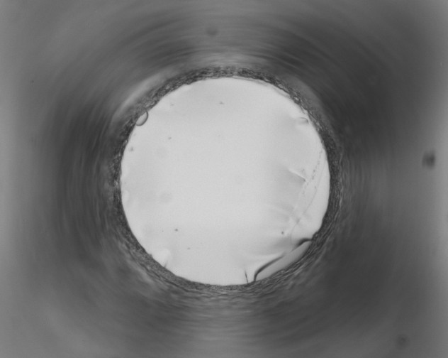 X0000116151064201001041048