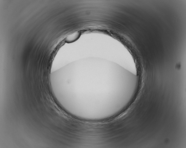 X0000116151065201001041048