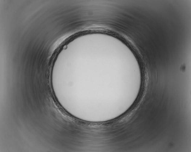 X0000116151066201001041048